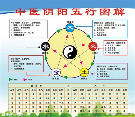 五行白色|易经中的五行对应颜色